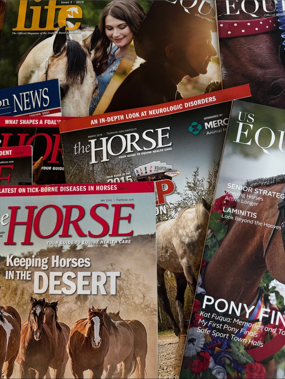 💕Loads of Information in This Bundle of 12
Horse/Equine Magazines 💕